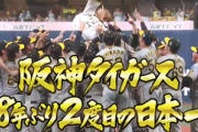 プロ野球日本シリーズ2023､阪神タイガースが38年ぶりに日本一！0時からジョーシンセールくるぞ！