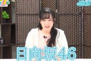 【日向坂46】新人声優さんが日向坂46愛を熱く語る動画が話題にｗｗｗｗｗｗｗｗｗｗ