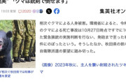 【朗報】元自衛官「クマに銃を使えない？銃剣で殺せますよw」