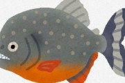 アマゾンってピラニアとかの熱帯魚も売ってるんだな。売ってないものないんじゃない？レベルだな