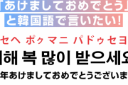 朝鮮語だろ　〜　【あけおめ】韓国語で言ってみたい！明けましておめでとうは「セヘ ボク マニ パドゥセヨ」