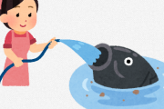 ?←海のお魚って喉乾いたときどうしてるの？？