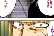 「BLEACH」平子隊長、ただのモブハゲを1ヶ月間相棒にしてしまうｗｗｗｗｗｗｗｗｗｗｗｗｗ