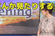 【弱者男性の姫】おさや…檜山沙耶さん　ファンに止めを刺す