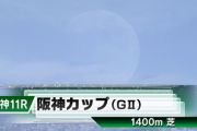 【阪神C】ウインマーベル＆松山騎手がｷﾀ━━━━(ﾟ∀ﾟ)━━━━!!