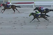 【東京大賞典】フォーエバーヤングが快勝！国内無双のG1級３勝目