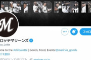 12球団公式ツイッターフォロワー数ランキングwww