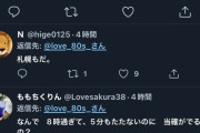 ツイ民「開票開始と同時に当確が出る。不正選挙だろ」