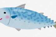 九州のサバは生で食べてもアニサキスに当たらない ← これって本当？