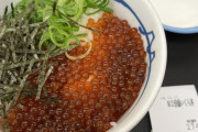 【画像】松屋のいくら丼、2倍盛でも少なすぎる・・・
