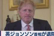 英国ジョンソン首相、日本のクジラ漁を猛烈批判「残酷な行為は今すぐやめろ」