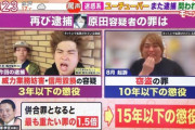 【悲報】へずまりゅう、懲役１５年