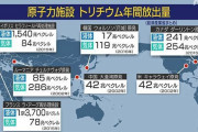 鳩ぽっぽ「IAEAの発表は出来レース」  [7/8]