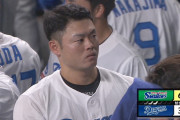 中日　いいところあり　プロ野球