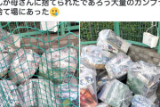 【悲報】ガンプラ、大量に捨てられてしまう