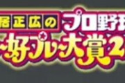 今夜のプロ野球珍プレー好プレー大賞2019ｗｗｗｗｗ