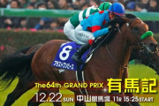 第64回 有馬記念 (GⅠ)