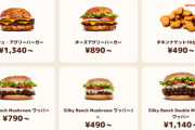【悲報】バーガーキング、何を頼めばいいか分からない