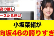 小坂菜緒が日向坂46の誇りすぎる件【日向坂46】