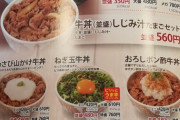【画像】昔は並盛チーズ牛丼が「500円」で食えたんだ…