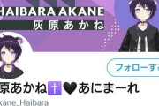 Vtuber 【灰原あかね】無期限の活動休止となってしまう・・・あのさぁ