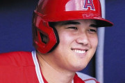 大谷翔平のいないエンゼルス←例えるとしたら何？