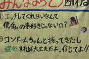 【画像】激カワJDさん、中学生に性の手ほどきをしてしまう