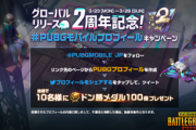 【PUBGモバイル】野良にストレス溜めている人はソロやったほうが楽じゃないの？