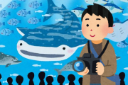 「1人で水族館」 ← これって言うほど難易度高くないよな？