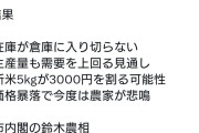 石破政権の「とにかくコメを増産」路線、止めて正解だった模様