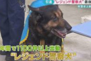 【衝撃映像】犬カス、全ての黒幕と判明。。。