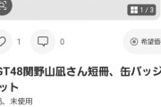 【悲報】NGT48メンバーの書いた短冊が早速転売されてしまう…