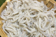 『しらす』って小さい魚、誰が食ってるんだ？言うほど美味くないし