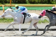 【競馬】ホワイトドラゴンＶ、白毛の外国産馬で初／函館４Ｒ