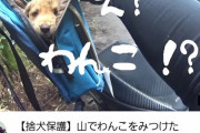 【感動】子犬を拾ったバイクYouTuber、一気に人気YouTuberになってしまう