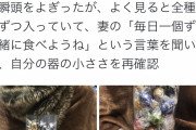 【悲報】ツイ民さん、妻にチョコを買ってあげただけなのにフェミにブチ切れられて炎上、謝罪してしまう……