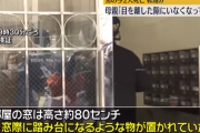 【愛知】２人の子供が落ちてきて死亡した事故の原因判明する