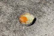 太陽の熱で目玉焼きを焼く