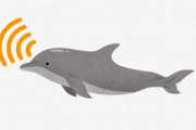 【朗報】Googleさん、本気でイルカのコミュニケーション解読を目指している模様　AIモデル「DolphinGemma」発表