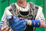 梅野隆太郎(29) .262(298-78)7本29打点5盗塁OPS.723←今年FA