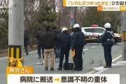 ひき逃げされて意識不明 → 逮捕の男否認「シカとぶつかったと思っている」