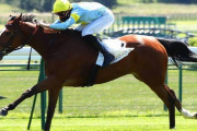 フランスGI馬グランドグローリー、ジャパンCに参戦！