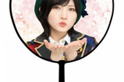 【AKB48】「AUDISHOW」うちわは自身の身体からはみ出さない程度のサイズに限り使用可能です←これ