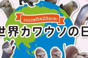 世界カワウソの日の記念パネルを見てきました