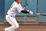 阪神井上がＶ弾、選球眼向上で５試合３発量産態勢に