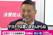 夢が見れて良かったな　〜　なんでれいわ信者って選挙で毎回惨敗してる結果から逃げて逃げて逃げ回ってるの？支持されてないやん