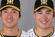 西武ファン、阪神戦力外の遠藤と岩田に舌なめずり