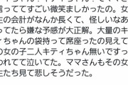 【悲報】女オタク、マックのハッピーセットを買い占めて小さい女の子たちを泣かしてしまうｗｗｗｗｗ