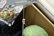 【悲報】日本人、キャベツすら買えなくなりそうｗｗｗｗ