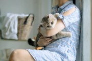 【悲報】「女(便器)と猫を飼うメリット比較してみた！」→大炎上